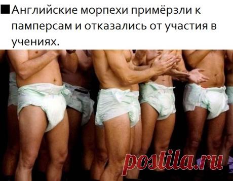 морпехи отличились)))))))))))
