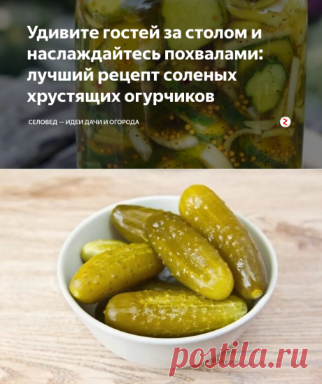 Удивите гостей за столом и наслаждайтесь похвалами: лучший рецепт соленых хрустящих огурчиков | Селовед — идеи дачи и огорода | Яндекс Дзен