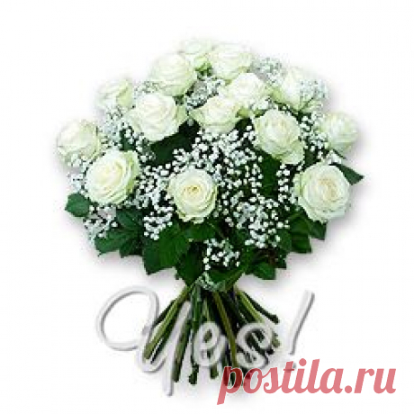 Международная доставка цветов Сидней, Новый Южный Уэльс
Заказывая цветы в нашем магазине, Вы можете быть уверены, что букет будет составлен только из самых свежих цветов в соответствии с представленными фотографиями, с учётом всех пожеланий клиента. При оформлении заказа в Сидней Вам предоставляется возможность не только выбрать представленный в каталоге букет, 
Для перехода на ассортимент букетов и подарков выберите необходимую категорию. Стоимость доставки - 12.00$.
Выбор категории подарков