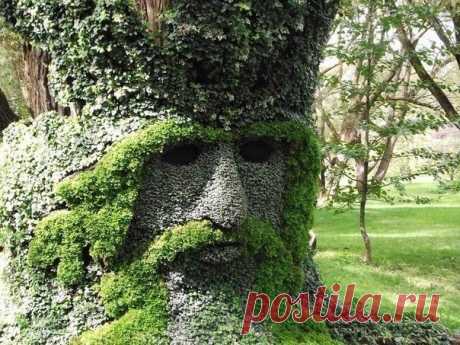 Шедевры цветоводства на выставке в Монреале, Канада