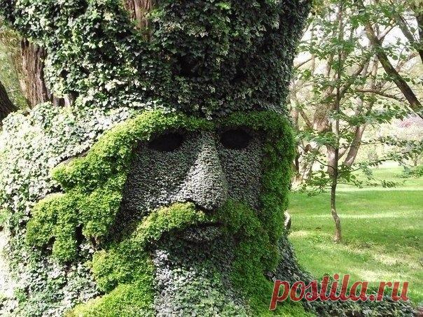 Шедевры цветоводства на выставке в Монреале, Канада