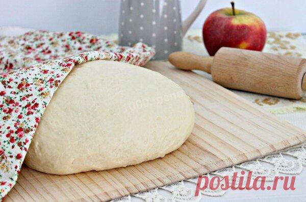 Универсальное тесто для выпечки | Глазами Повара | Яндекс Дзен
