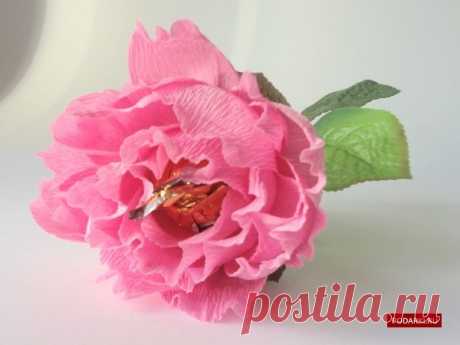 Пион с конфетой I Пион из бумаги с конфетой (мастер-класс)