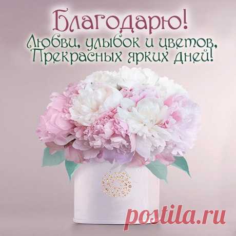 Спасибо вам большое-пребольшое!
Спасибо вам от сердца и души!
Счастливее желаю вам стать вдвое,
Пусть ваши дни все будут хороши.