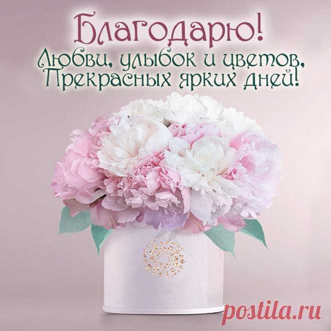 Спасибо вам большое-пребольшое!
Спасибо вам от сердца и души!
Счастливее желаю вам стать вдвое,
Пусть ваши дни все будут хороши.