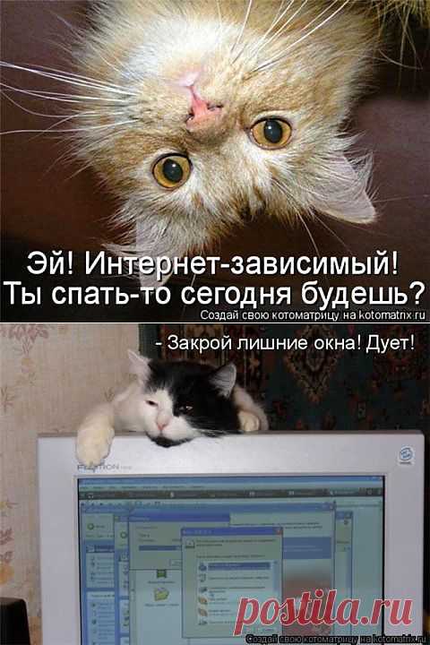 (+1) - Кот Снупи – новая японская Интернет-звезда (ФОТО) | САМЫЙ СОК!