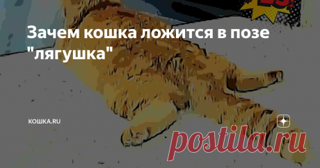 Зачем кошка ложится в позе "лягушка"  За домашними кошка наблюдать всегда очень интересно.  И часто они удивляют нас своими выходками, поведением, да даже позами, в которых застывают на некоторое время. Вот ваша мурлыка застыла с высунутым языком, вот ногу за ухо закинула, а теперь спит, свесившись головой вниз. И как только удобно им?) Но удивляться сильно не стоит, как и сравнивать кошек с собой.  У наших питомцев ведь более гибкий позвоночник, а строение тела позволяет ...