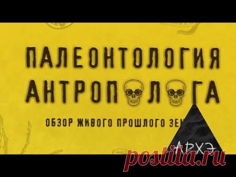 Станислав Дробышевский: «Палеонтология антрополога» (лекция и презентация книги)