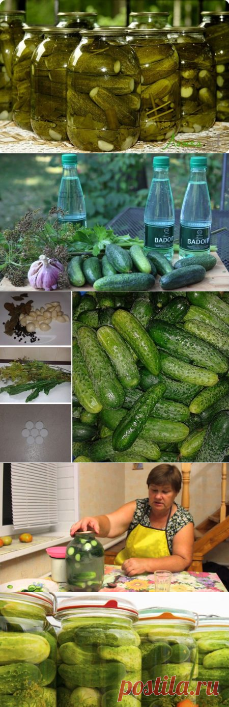 Огурцы соленые на зиму хрустящие в банках
