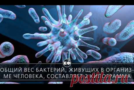 Фитнес для мозга