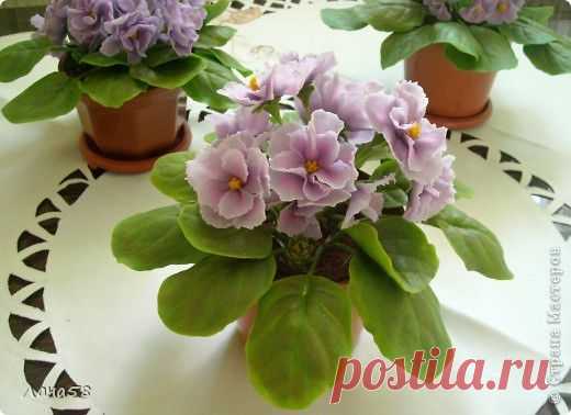 Лепка из холодного фарфора. ФИАЛКИ.