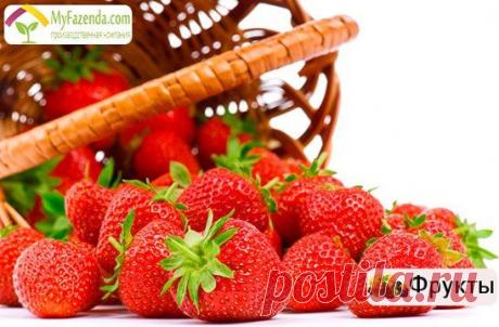 (92) Одноклассники