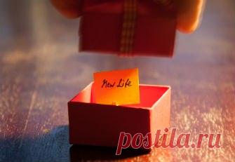 Дети до трех лет схватывают все на лету. Ползать удобнее — но в год они встают на ноги. Учиться говорить непросто — но даже иностранный язык не станет для ребенка проблемой. А все потому, что малыши любопытны и не стеснены страхами. Однако необузданный интерес к миру может привести к травматическим последствиям, так как с возрастом за ребенком сложнее уследить. Тогда обеспокоенные родители устанавливают границы дозволенного. Со временем «маленький гений» засыпает, и на свет появляется…