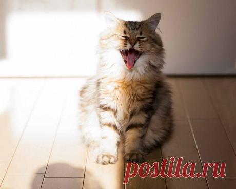 "Сегодня ночь совсем уже не та..." - Очарованная Душа