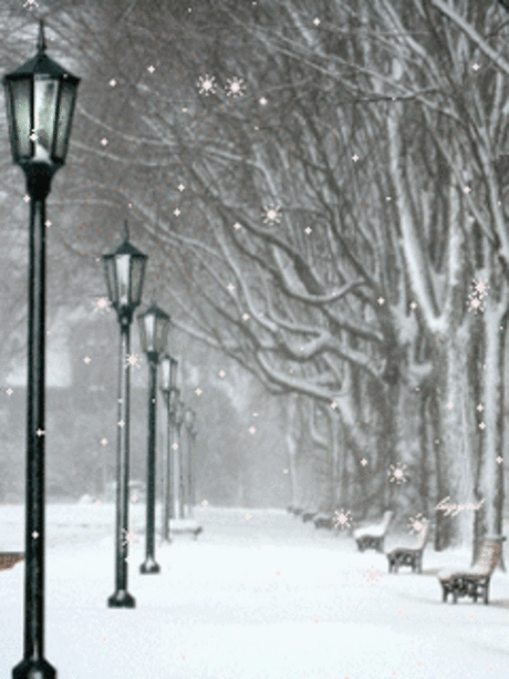 1098682.gif (240×320)