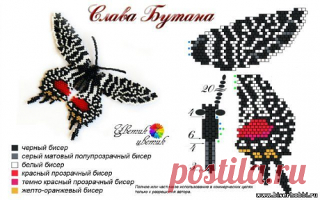 Бисером Бабочка шаблон / из бисера бабочки / Pinterest
