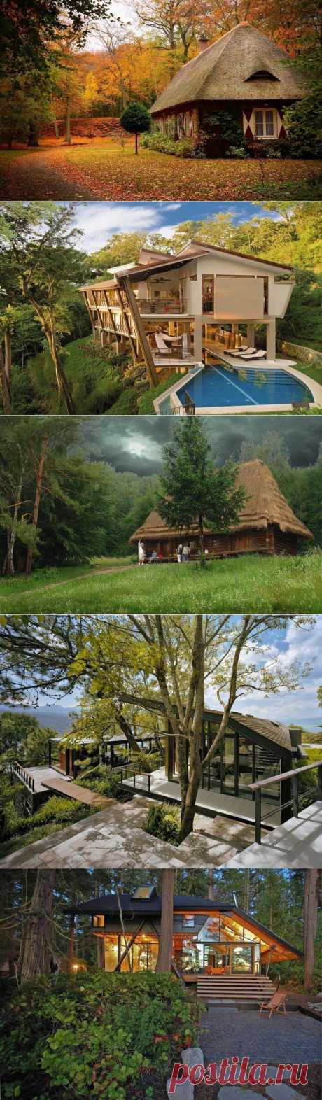 Красивые дома в лесу