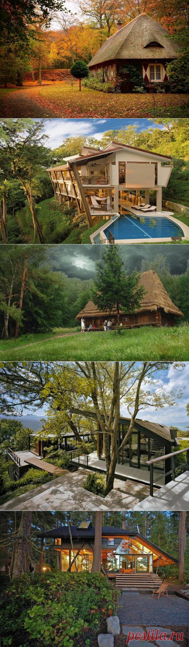 Красивые дома в лесу