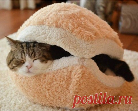 10 уютных домиков для домашнего питомца. Хорошо быть кисою!