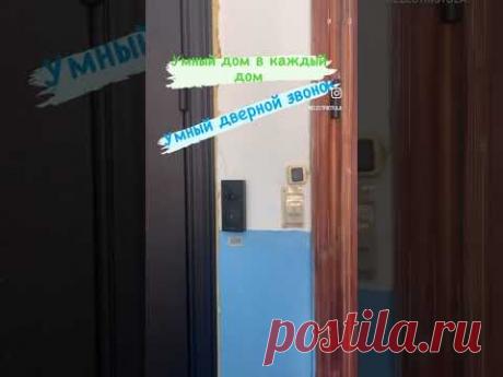 Умный домофон. Домофон с видео камерой и авто съемкой по движению. #электрик #тульскийэлектрик