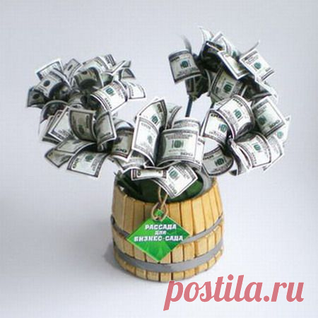 Деньги - универсальный подарок для всех и на все праздники. Иногда бывает, что просто не успеваешь купить подарок, иногда даже и не задумываешься о нем, а может быть, вас просто попросили подарить деньги. Во всяком случае, деньги тоже надо уметь правильно дарить.