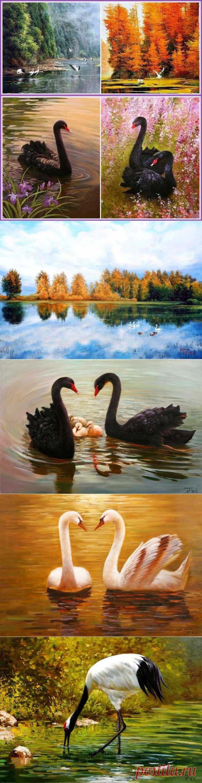 Лебединое Озеро / Канг Джунг Хо.