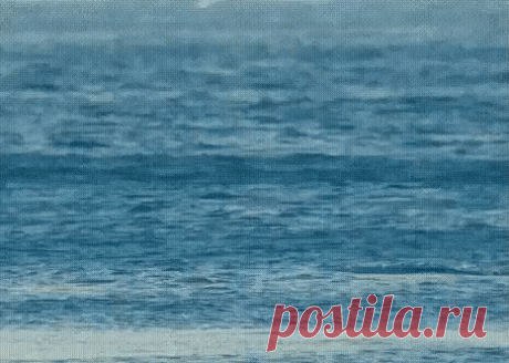 Веселый дельфин! Просто завораживает!