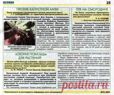 Капустная муха, тля