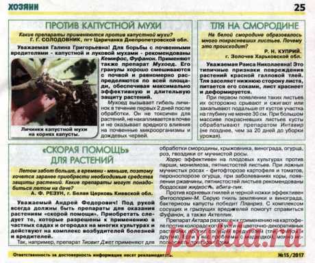 Капустная муха, тля