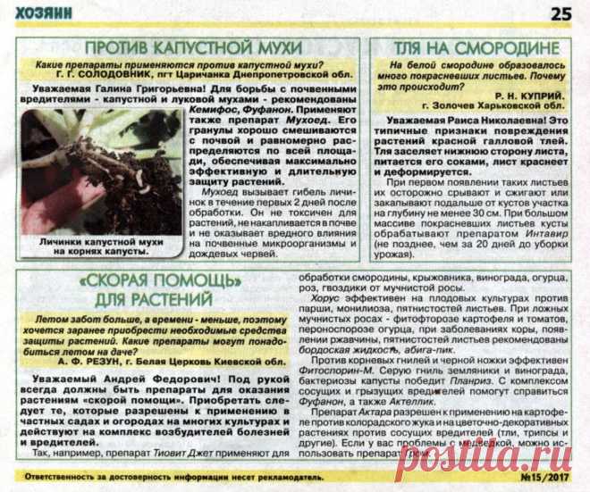 Капустная муха, тля