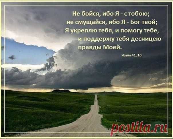 Новости