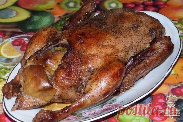 Как правильно запекать утку в духовке / Изысканные кулинарные рецепты