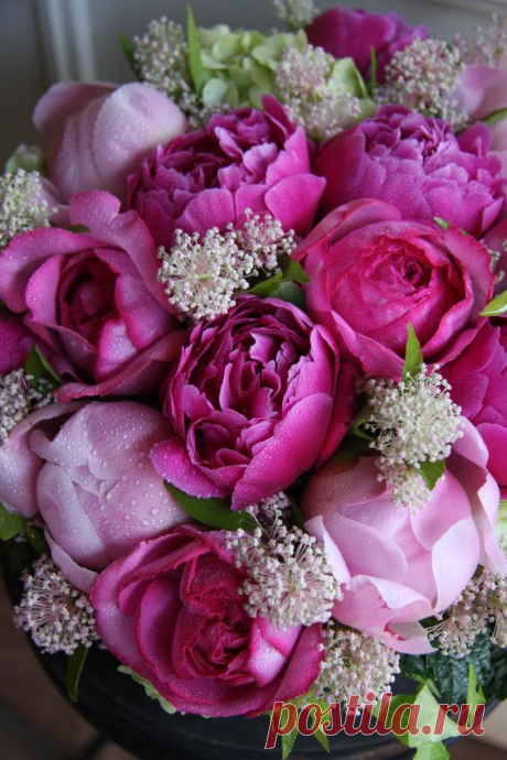 Pinterest • Всемирный каталог идей