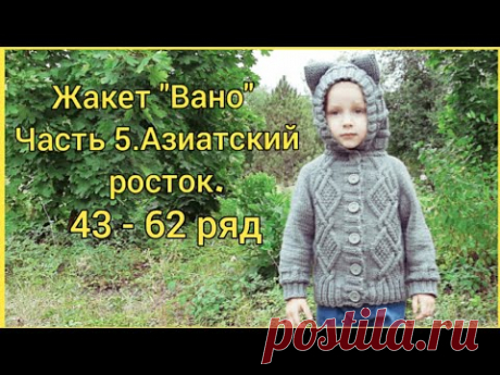 Жакет "Вано" | Часть 5. Азиатский росток | 43 - 62 ряд