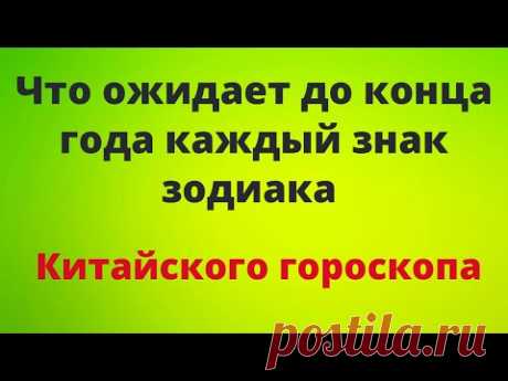 Что до конца лета ожидает каждый знак - Китайского гороскопа.