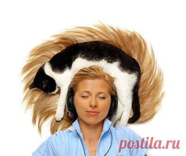 Как животные лечат людей / Будьте здоровы