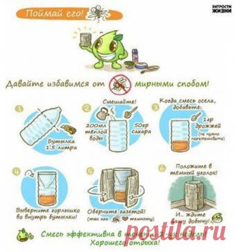 Ловушка для комаров своими руками