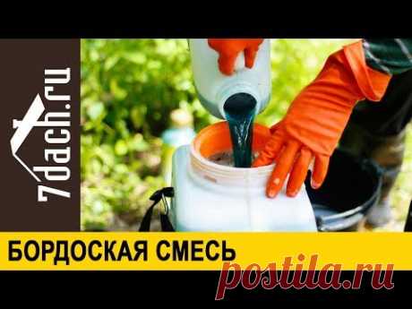 👩‍🌾 БОРДОСКАЯ СМЕСЬ: как ПРАВИЛЬНО приготовить и использовать - 7 дач