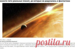 Новости