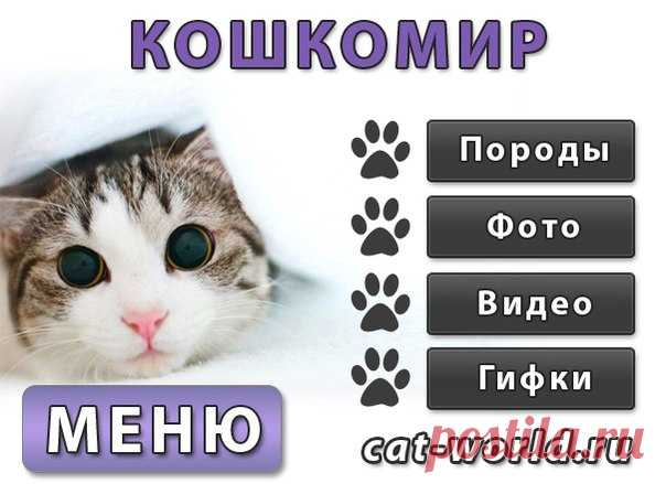 )))