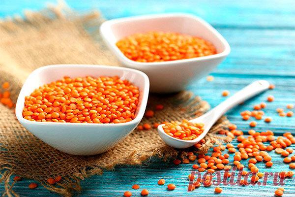 Чечевица: калорийность, полезные свойства и противопоказания
😉 Что такое чечевица? Это растение из семейства Бобовые, зернобобовая культура. Ее родственники: горох; фасоль; арахис; нут; соя; акация; люпин; клевер; глициния и др. Родина чечевицы юг Европы и запад Азии. Чечевичное зернышко напоминает форму оптической линзы. На латинском имя чечевицы — lens. Так образовалось слово «линза». Растение это древнее, его выращивают с эпохи неолита. […]
Читай дальше на сайте. Жми подробнее ➡