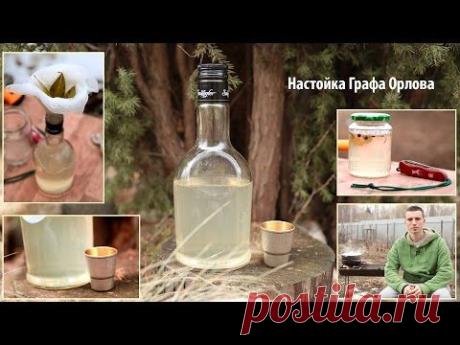 ▶ Настойка Графа Орлова - Бабушкин Рецепт - YouTube