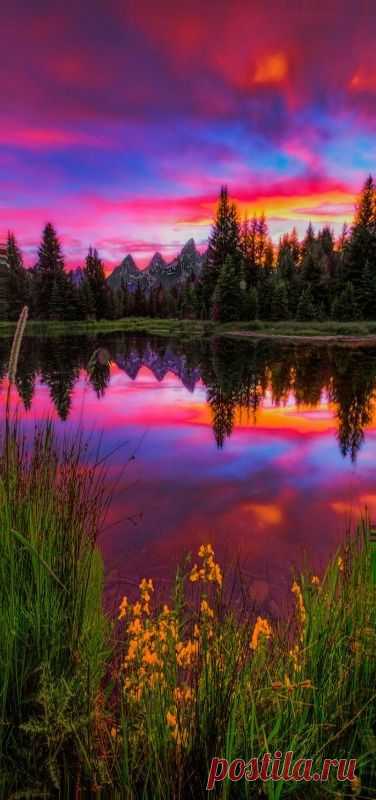 Late spring sunset by the iconic beaver dam at Schwabachers Landing in Jackson Hole, Wyoming (USA) by Jerry Patterson | Linda Riley приколол(а) это к доске Awesome Views