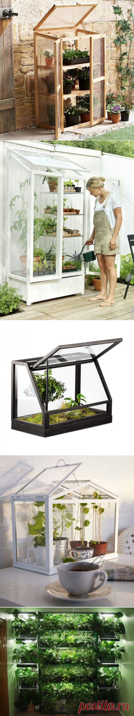 Домашние теплицы в квартире: идеи соружения на фото