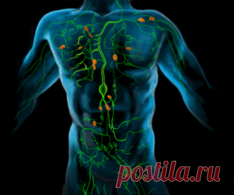 Чистим лимфу! Очищение по методу Шрота... 
В этой статье вы узнаете как почистить лимфу, лимфатические сосуды и кровь лимонами!
Очистка лимфатической системы и крови - обязательный шаг на пути к здоровью. Это возможность избежать многих болез…