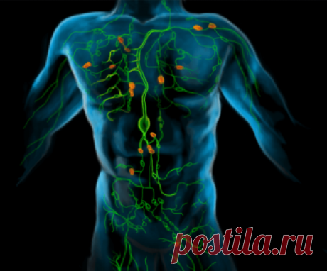 Чистим лимфу! Очищение по методу Шрота...
В этой статье вы узнаете как почистить лимфу, лимфатические сосуды и кровь лимонами!
Очистка лимфатической системы и крови - обязательный шаг на пути к здоровью. Это возможность избежать многих болез…