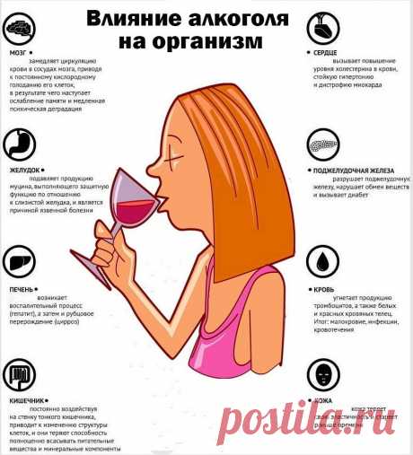 Вот как влияет алкоголь

И он оказывает отрицательное влияние