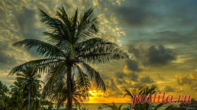 Картинки обои на рабочий стол (37 фото) ⭐ Забавник