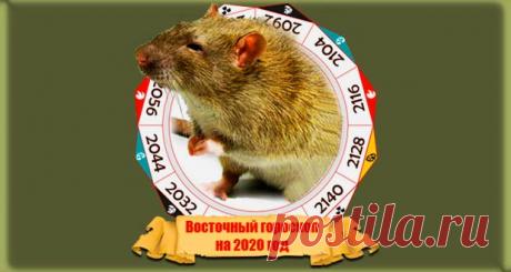 Восточный гороскоп на 2020 год Крысы: по году рождения