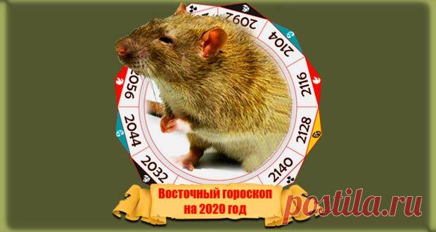 Восточный гороскоп на 2020 год Крысы: по году рождения